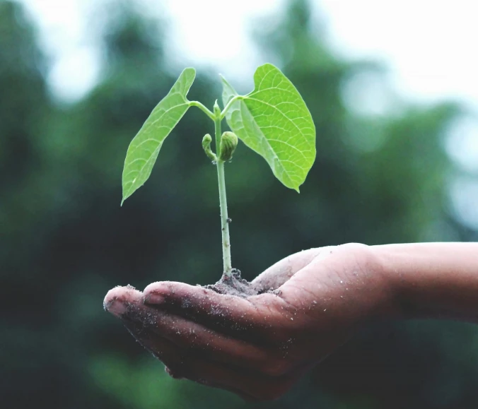 Zakaj vlagati v okolju prijazne pripomočke?