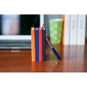 Glavne opombe - oranžna