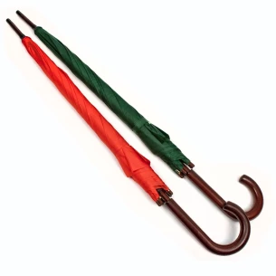 Dežnik Fernando - Modra