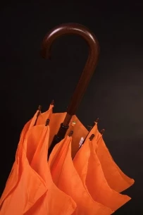Dežnik Fernando - Oranžna