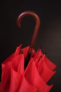 Dežnik Fernando - Rdeča