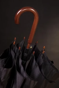 Dežnik Fernando - Črna