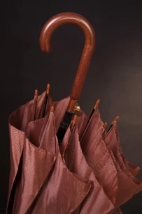 Dežnik Fernando - Rjava barva